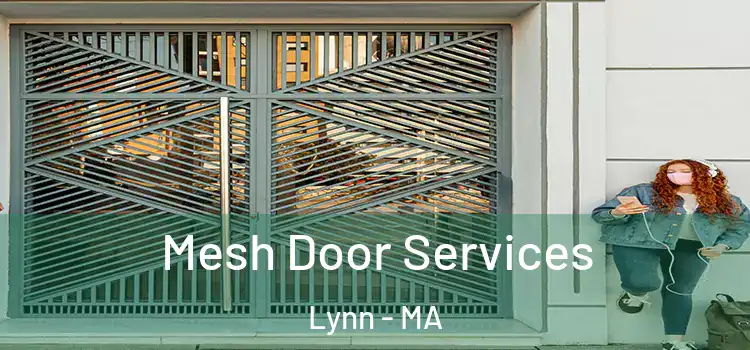  Mesh Door Services Lynn - MA